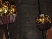 DSC00805.jpg