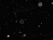 DSCN0810.jpg
