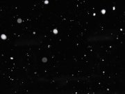 DSCN0809.jpg