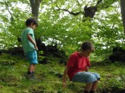 DSCN3293.jpg
