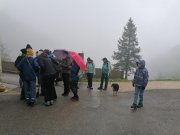 IMG_20230407_112703 (Copy).jpg