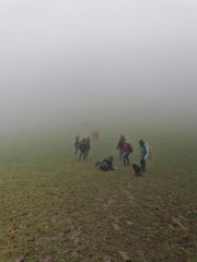 IMG_20230407_155431 (Copy).jpg