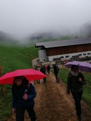 IMG_20230407_113206 (Copy).jpg