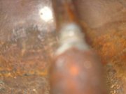 DSC02843.jpg